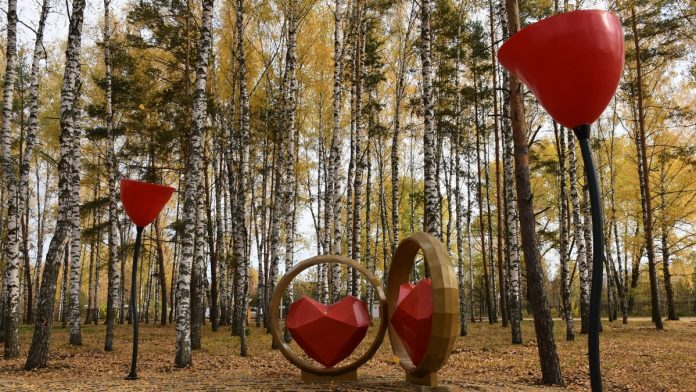 Сто березок. Сасово.9.10.25