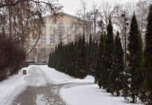 Мокрый снег и до 2°С обещают синоптики рязанцам 8 января