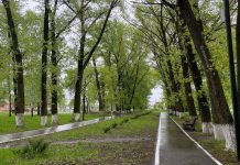 В Сасове «Народный контроль» проверил парк 40 лет ВЛКСМ