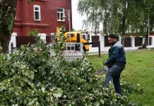 Сотрудники «Састы» обезопасили одну из сасовских улиц от аварийных деревьев